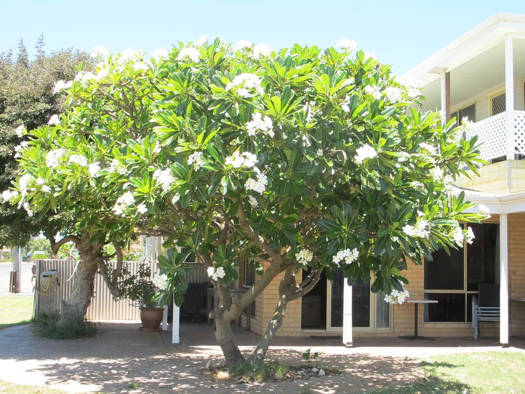 Apartamento Kalbarri Riverfront Unit Exterior foto